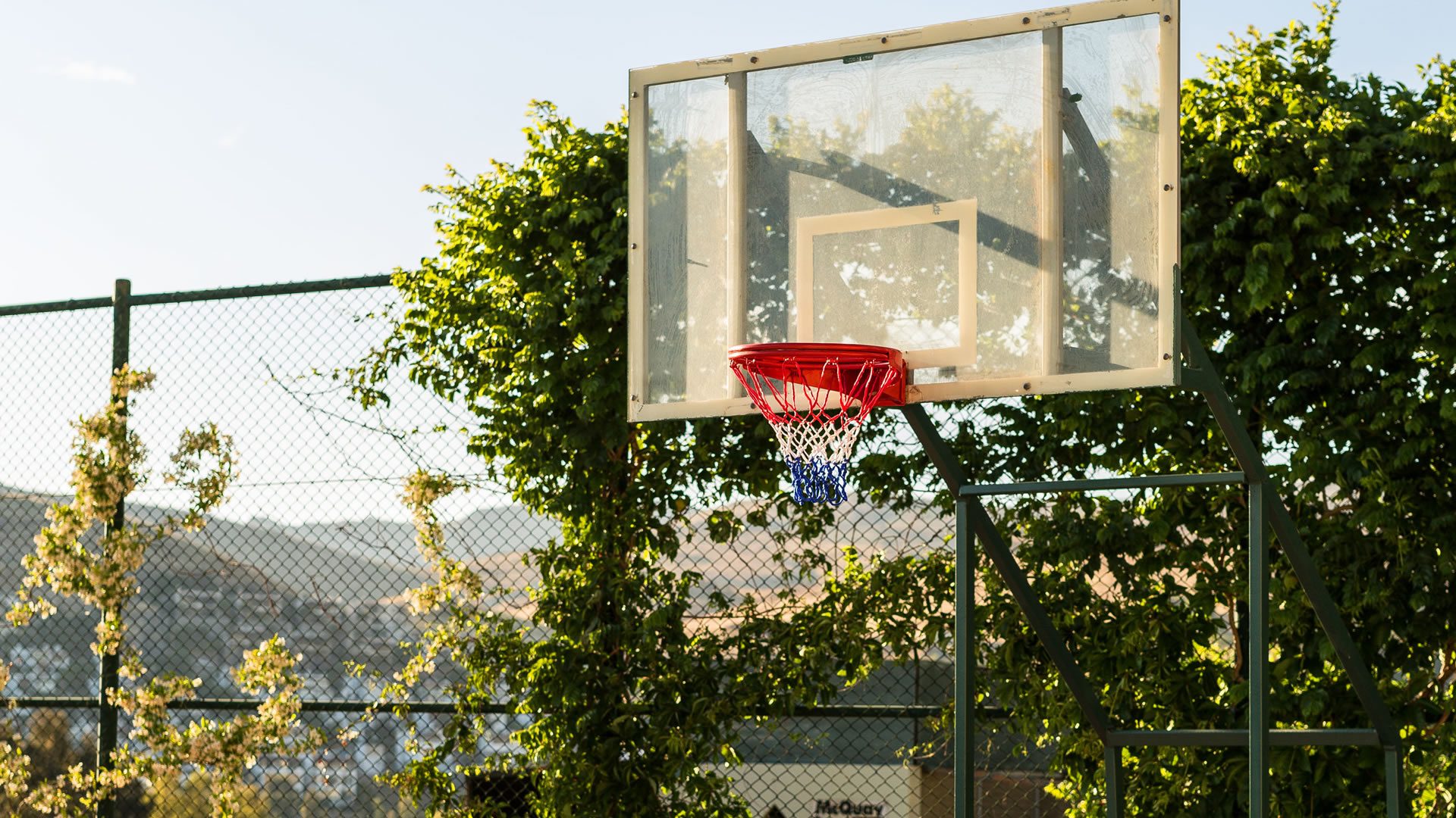 Tenis